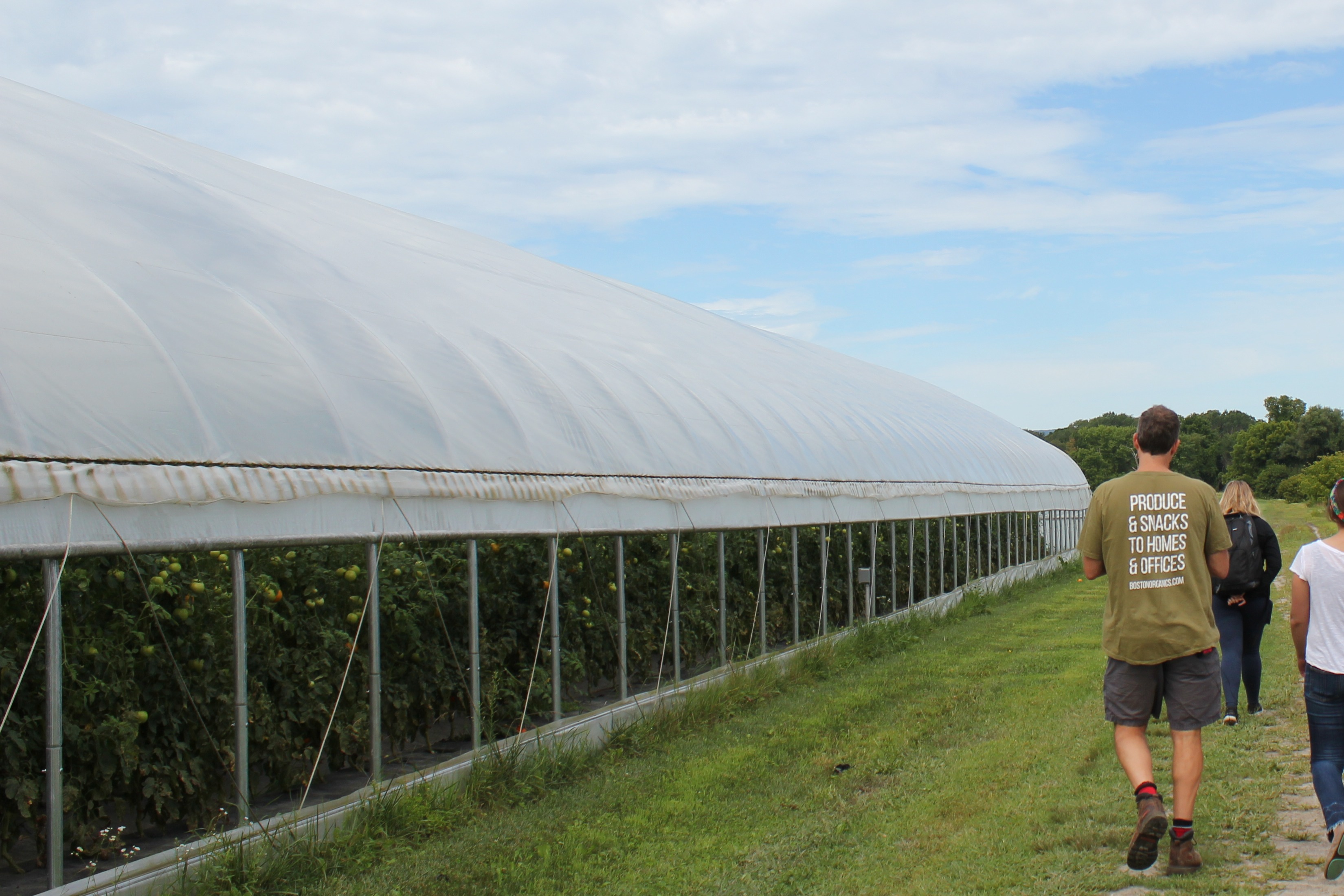 an image from the blogpost Visiting Our Local, Organic Farmers - August 2019