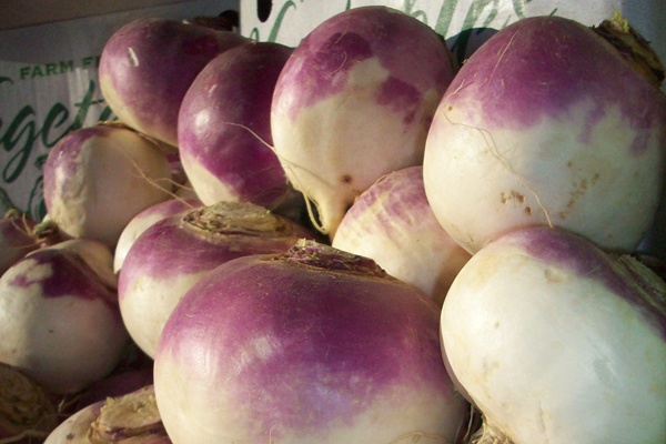 an image from the blogpost The Complete Guide to Turnips