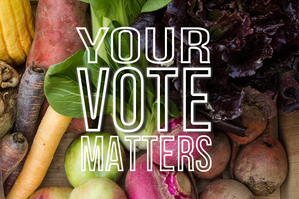 an image from the blogpost Your Vote Matters!