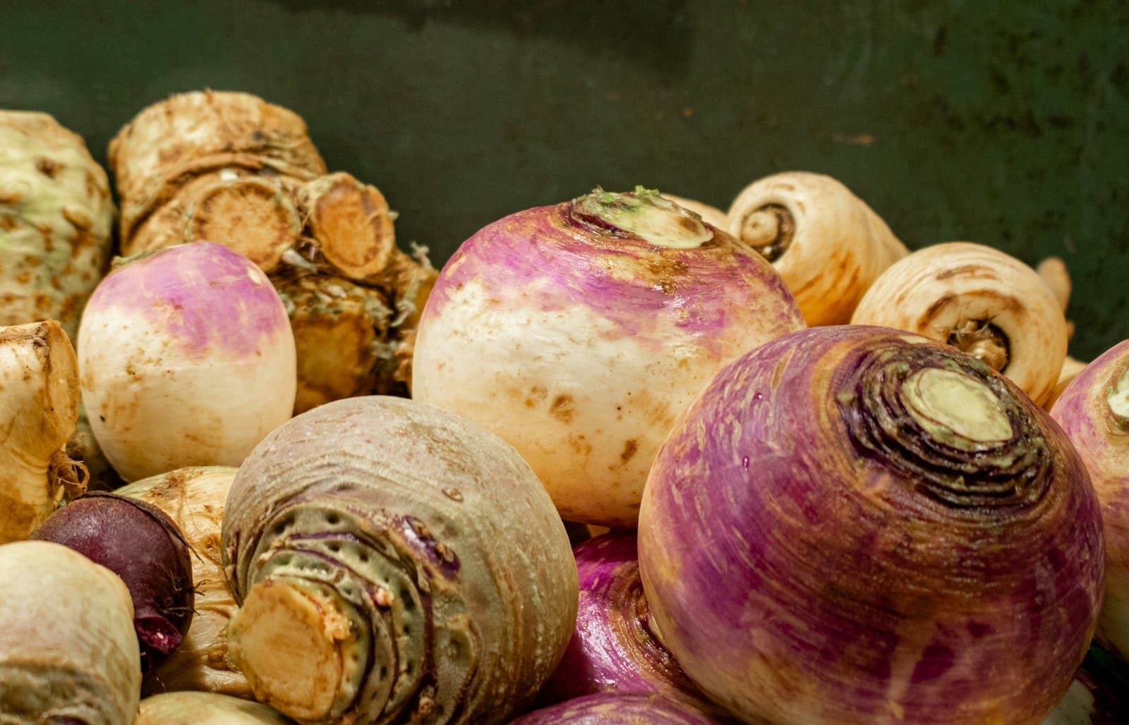 A bunch of turnips are ready to eat.